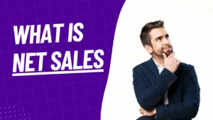 what is net sales